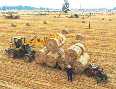 丰收节里探农机  大田种粮“神器”多