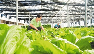 提高土地出让收振兴乡村 资金渠道更宽了