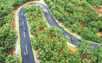 骑行路上 风光无限