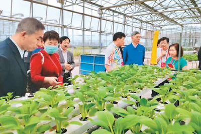 台商看江西：这边风景很好