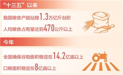 大国粮仓根基牢 中国饭碗端得稳