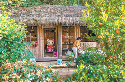 阿佤人民再唱新歌（集中连片特困地区贫困村调