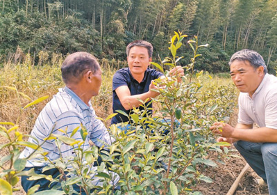 林长治林记（人民眼·生态文明建设）