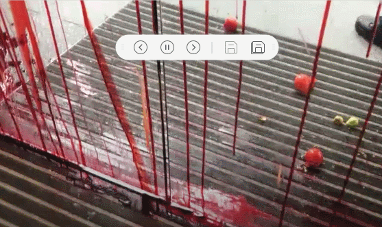 澳总理访问大学遭抗议：座驾被泼红漆 匆忙从后