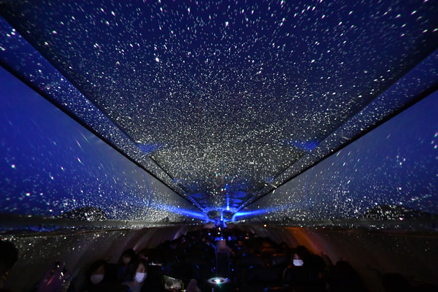 1603097271612805.jpg 201017_0802_A320_sfj-640 (1).jpg