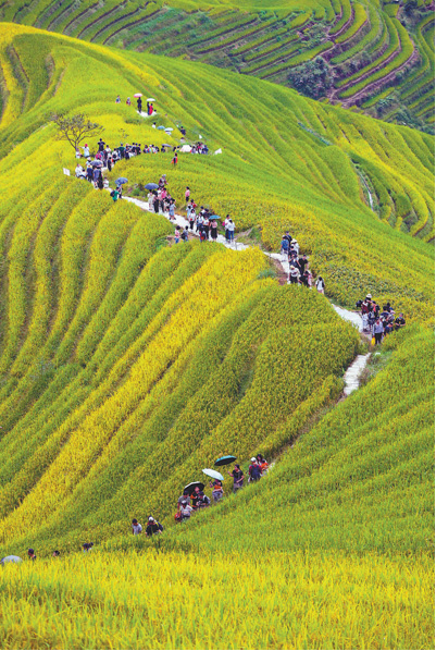 消费持续回暖 潜力不断释放