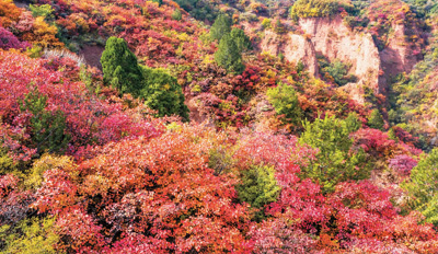 中国景区玩内容