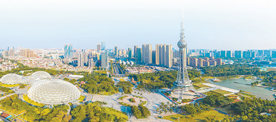 优势互补 天地广阔（潮涌大湾区④）