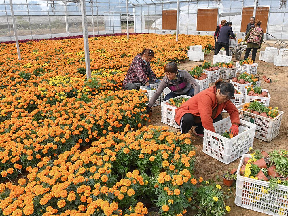 点击进入下一页