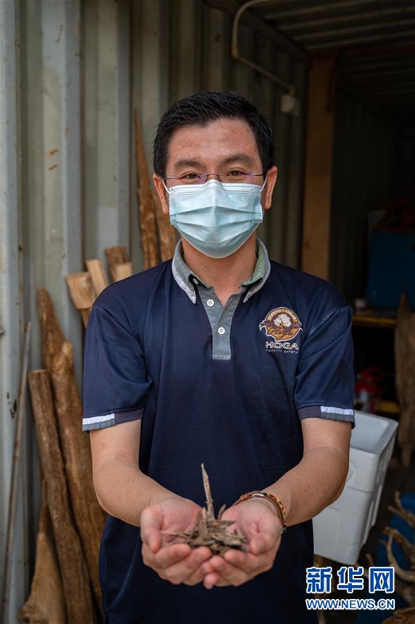 (新华全媒头条·图文互动)(10)携手共“进” 开放共赢——写在第三届中国国际进口博览会开幕之际