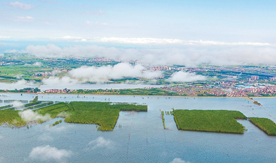 水清鱼丰，更添新滋味（大江大河·关注长江禁渔