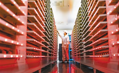 中国科技创新活力令世界惊叹（国际论道）