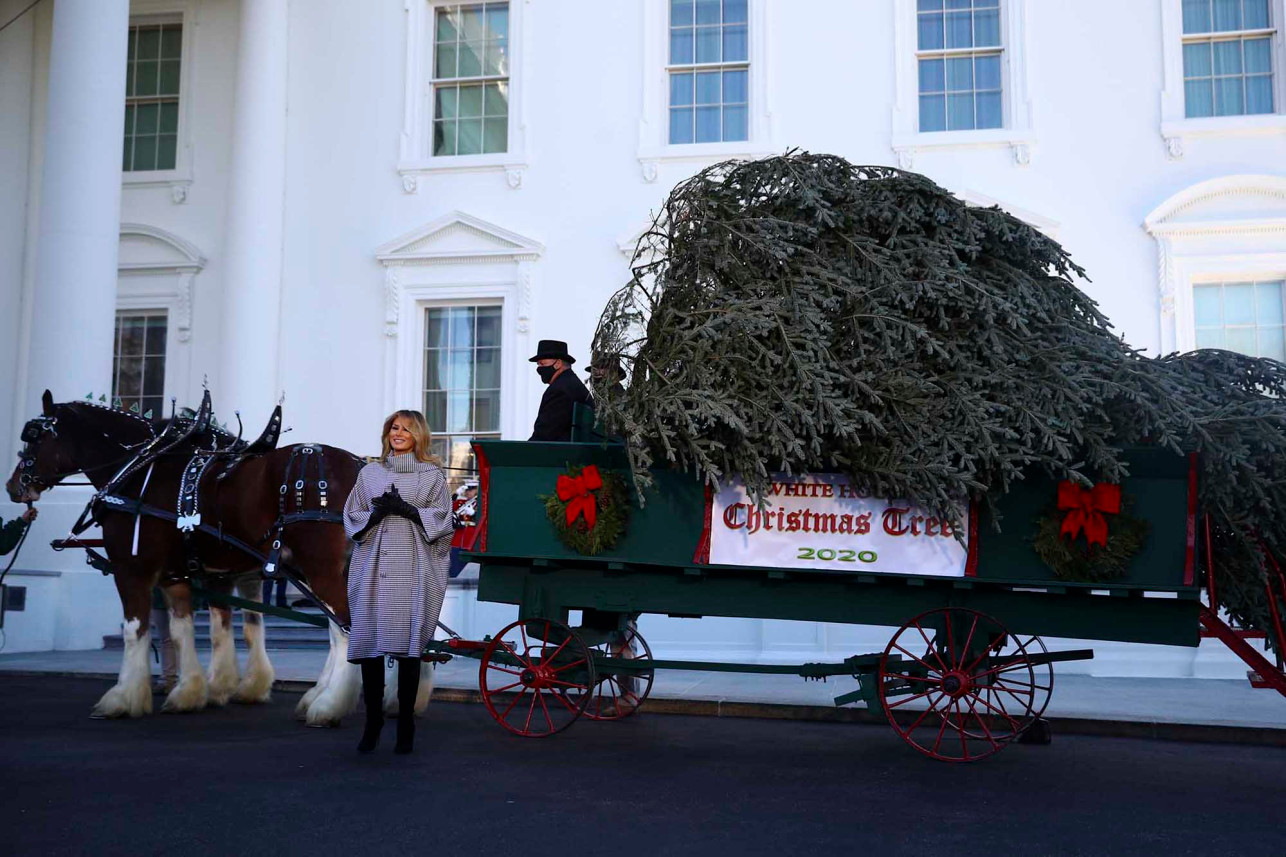 1606198589328385.jpg 1606198589328385.jpg