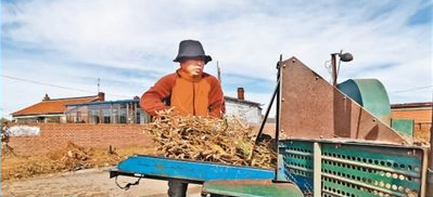 绿色种植 稻米飘香（决胜全面小康·小家看小康