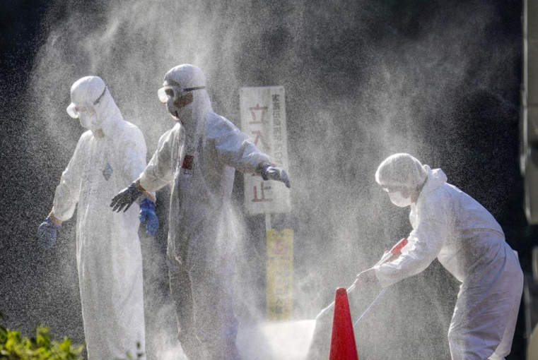 日本暴发最严重禽流感：扩散至全国20%地区 扑杀300万家禽