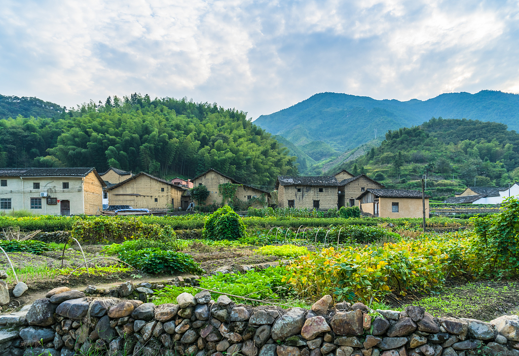 【民生小事这样解决㉔】“三多村”变身记