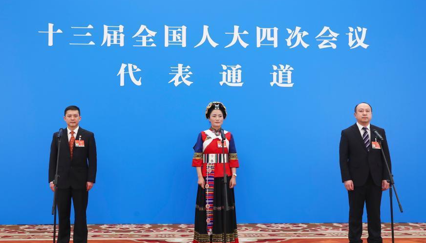 回放：十三届全国人大四次会议第二场“代表通道”