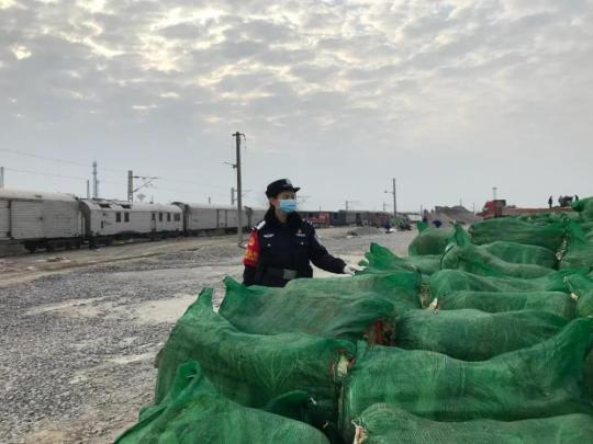 多年后我就成了你:23年前洪水中的"抱树女孩"成了"人民警察"