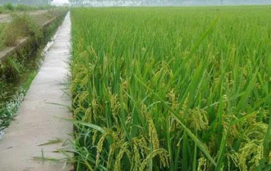 【民生小事这样解决㊵】老徐遇见“活财神”