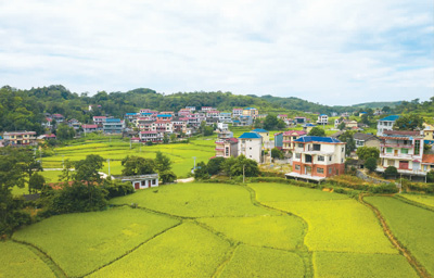 【来这里打卡（16）】红色血脉，在湘西热土流淌