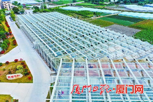 500×333
