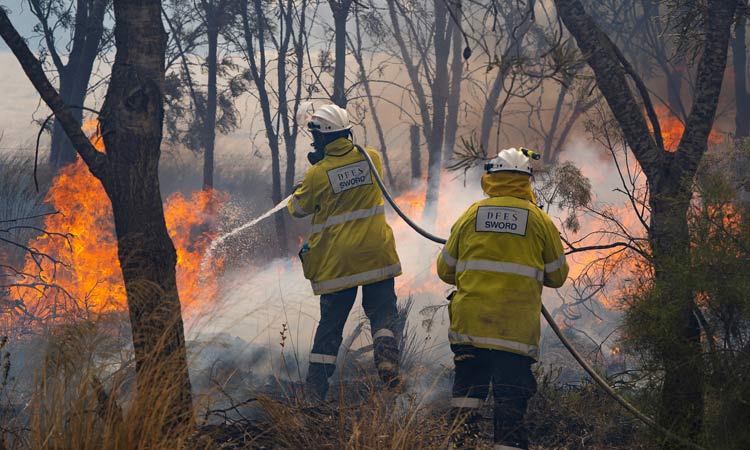 Australia-Bushfire-L.jpg