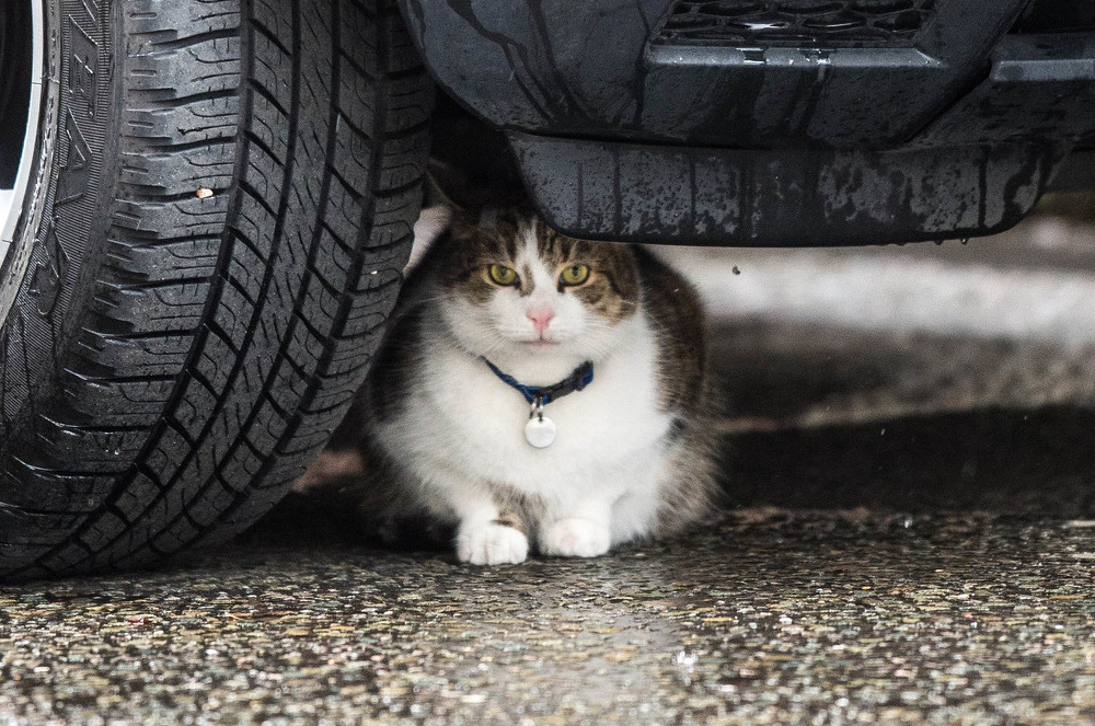 1613451830430852.png image.png