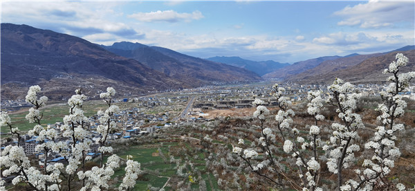 万亩梨花开踏青赏花正当时4条精品赏花旅游线路任你畅游汉源