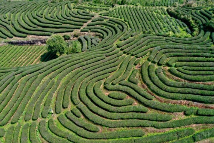 1616589112731640.png image.png