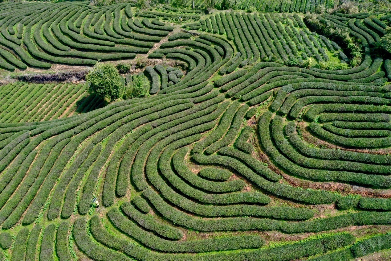 1616591297352141.jpeg 2.jpeg