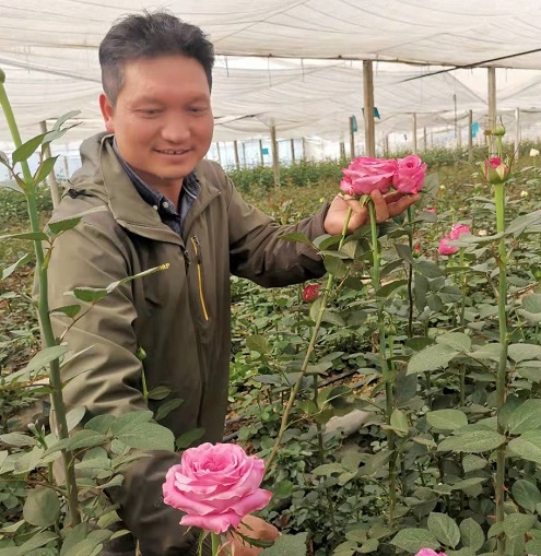 高标准农田4月9日 李坚在玫瑰花基地 刘磊摄.jpg