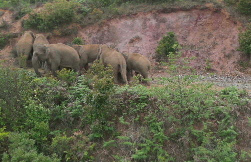 1622971061988648.gif 1.gif