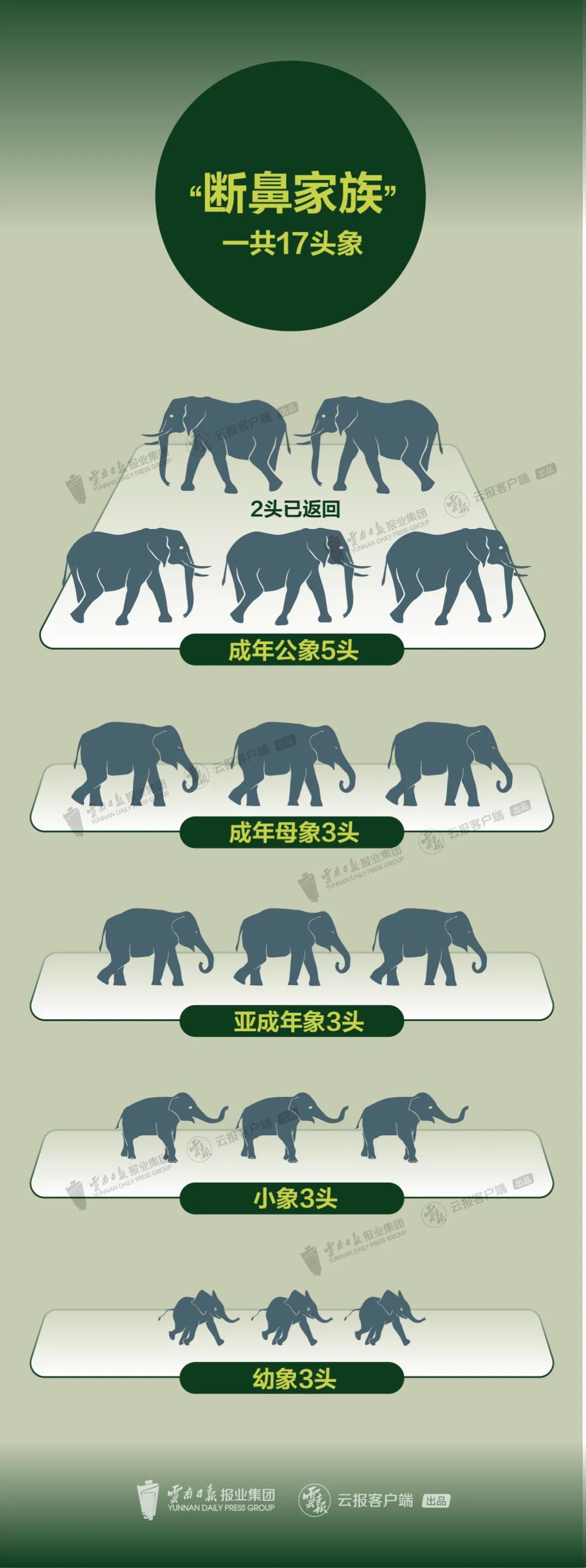 1622971068716056.jpg 2.jpg