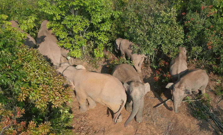 1622971139382148.gif 8.gif