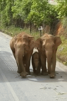 1622971235501161.gif 10_副本.gif