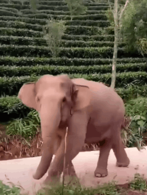 1622971280692115.gif 11_副本.gif