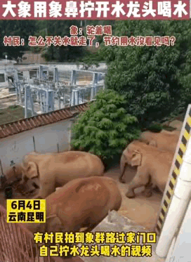 1622971289679632.gif 12.gif