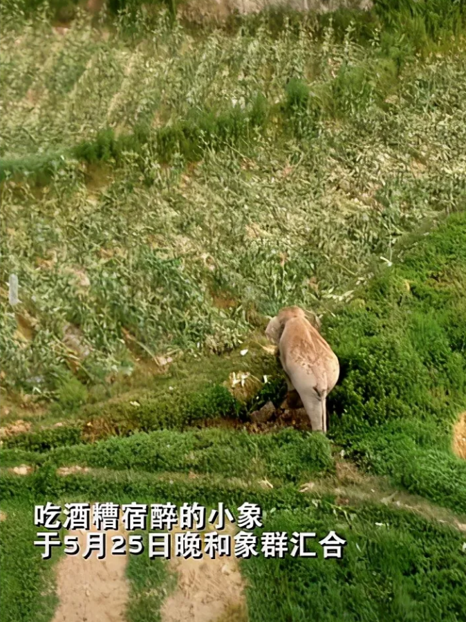 1622971301926968.png 13.png