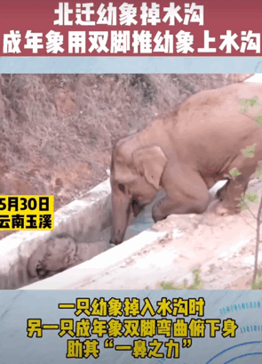 1622971341969197.gif 14_副本.gif