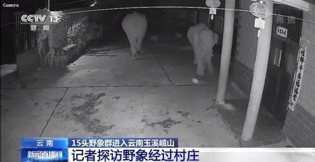 1622971351784313.jpg 15.jpg