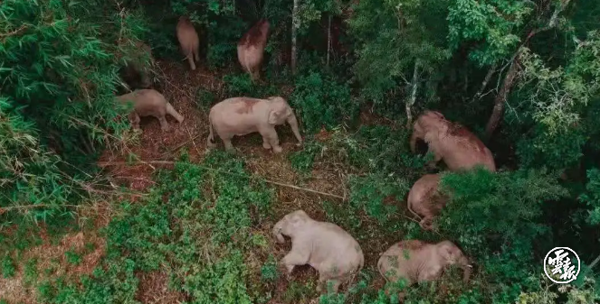 1622971360907096.png 16.png