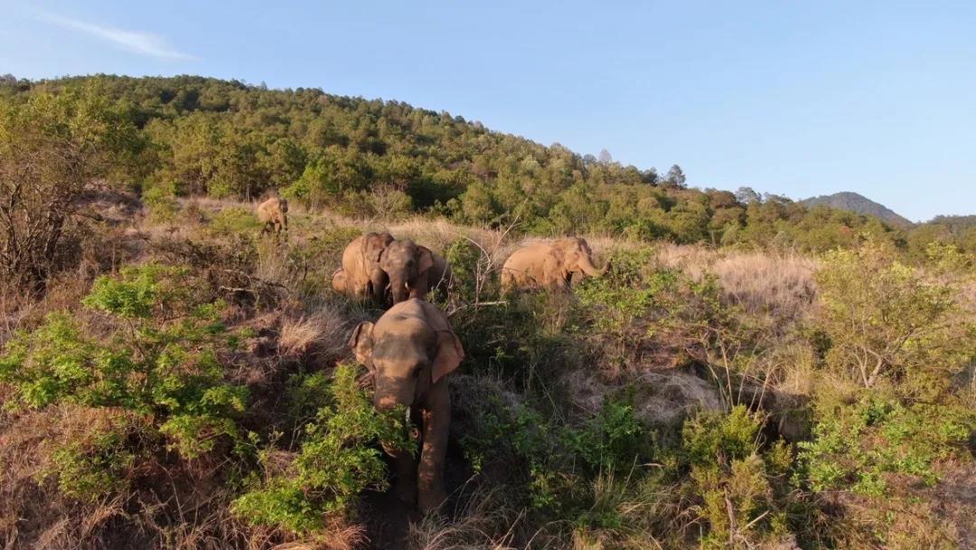 1622971395344268.jpg 19.jpg