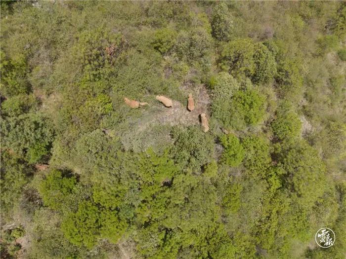 1622971402461150.jpg 20.jpg