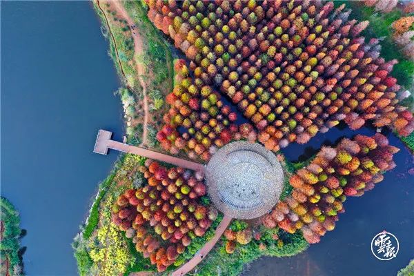 1622972110271630.jpg 3.jpg