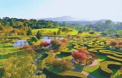 1622972140968975.jpg 6.jpg