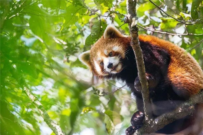 1622972160383178.jpg 8.jpg