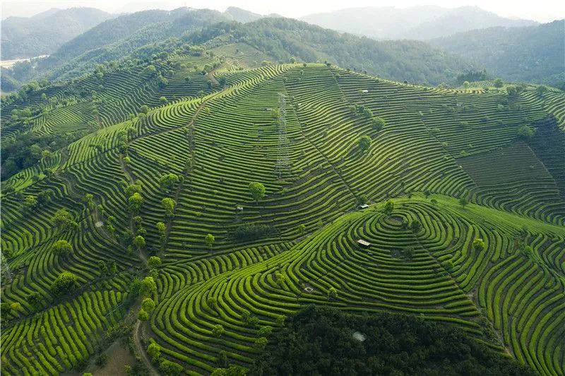 1622972167839403.jpg 9.jpg