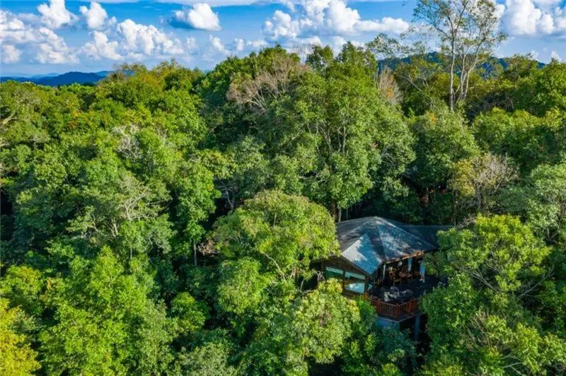 1622972174444725.jpg 10.jpg