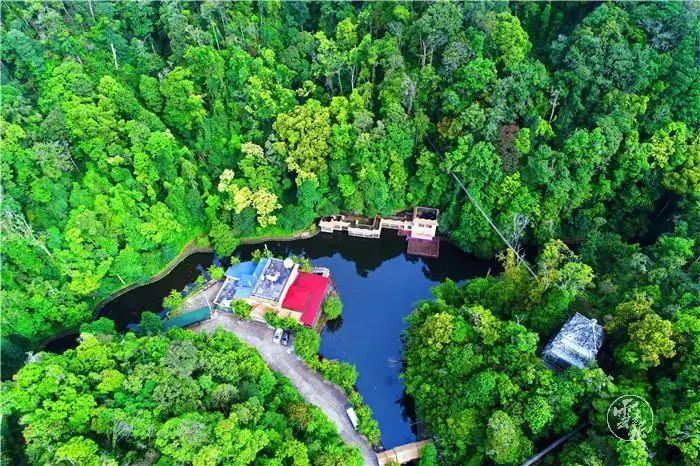 1622972180104682.jpg 11.jpg