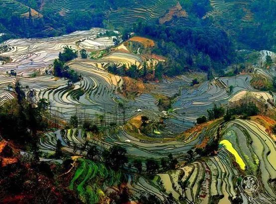 1622972215346045.jpg 12.jpg